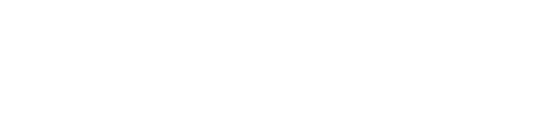 Gamma Solution Logo